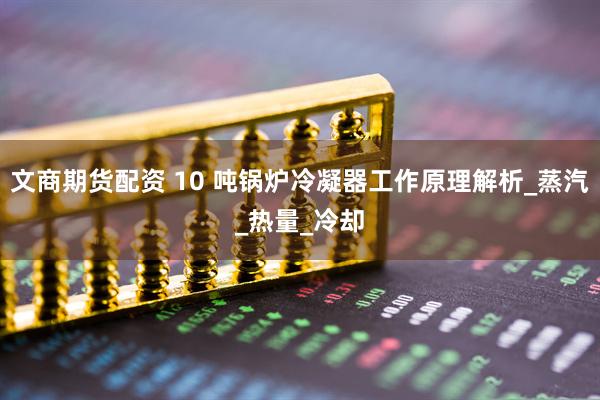 文商期货配资 10 吨锅炉冷凝器工作原理解析_蒸汽_热量_冷却