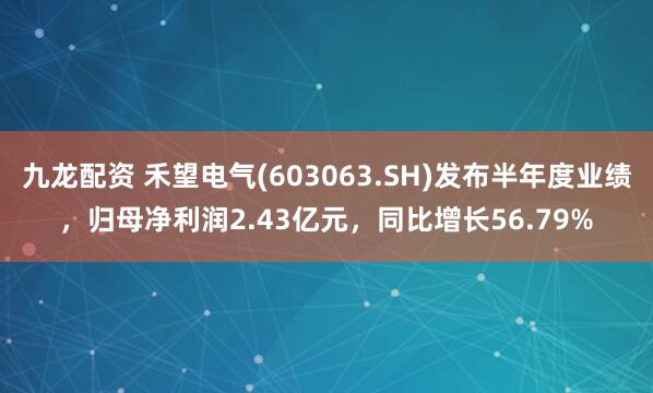 九龙配资 禾望电气(603063.SH)发布半年度业绩，归母净利润2.43亿元，同比增长56.79%