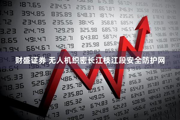 财盛证券 无人机织密长江枝江段安全防护网