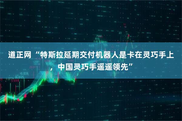 道正网 “特斯拉延期交付机器人是卡在灵巧手上，中国灵巧手遥遥领先”